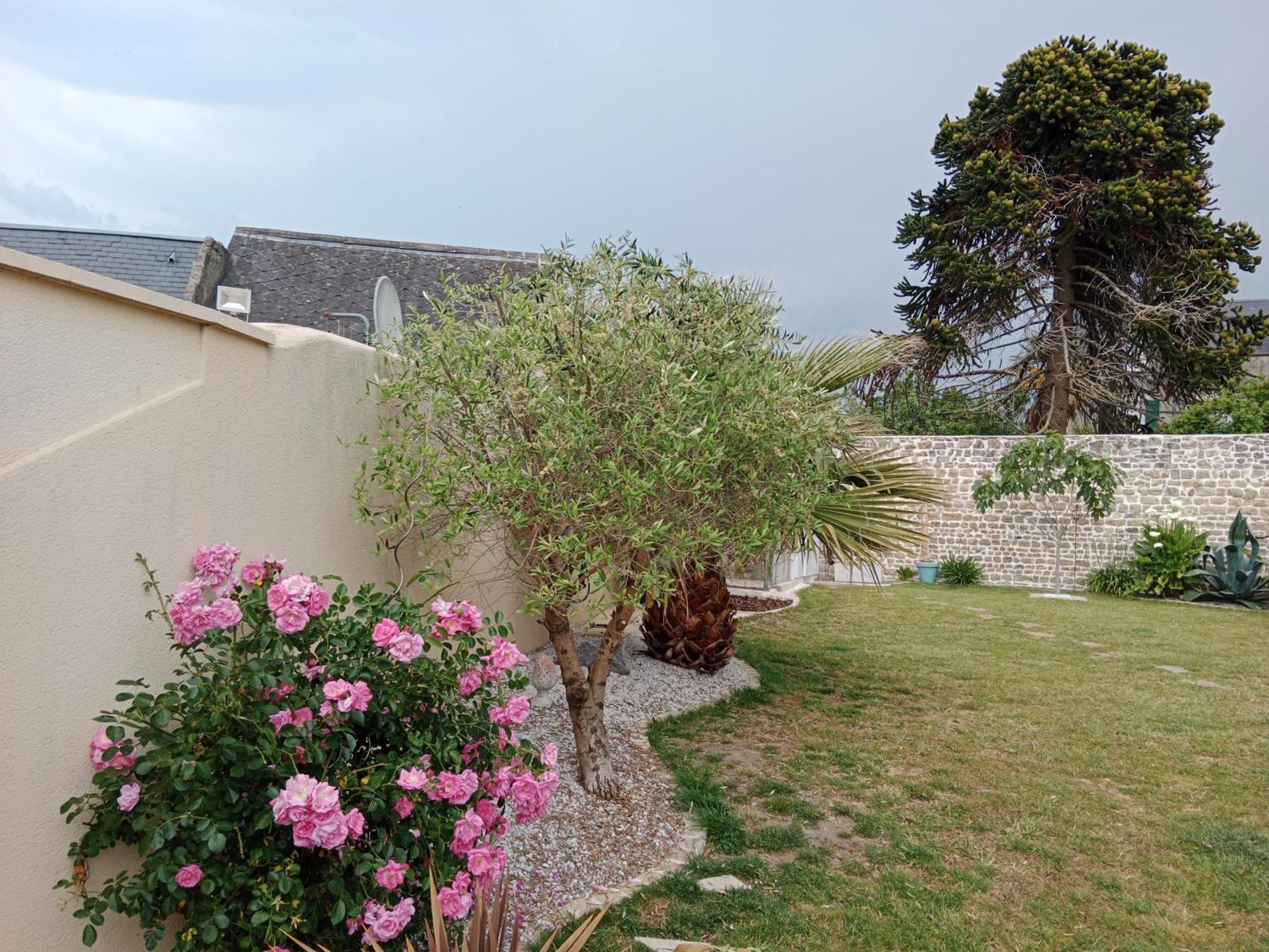 Les Palmiers Bed & Breakfast Bayeux Bagian luar foto